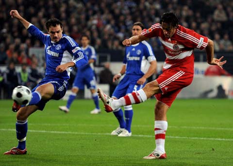 的努力与教 的努力与教