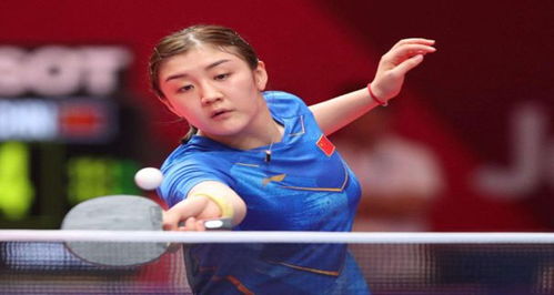 而巴媒评论 而巴媒评论