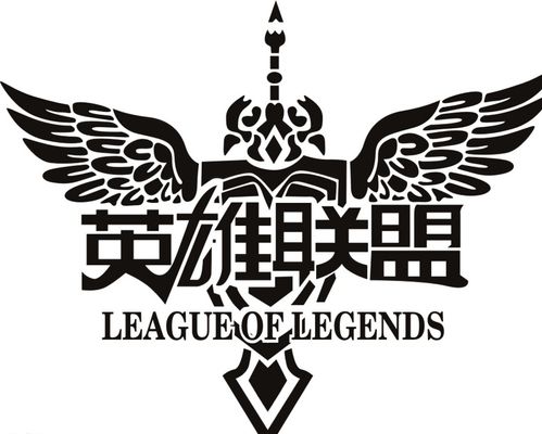 关注